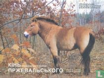 Ukraine 5 hryven 2021 (folder) "Przewalski's horse"