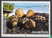 Shellfish
