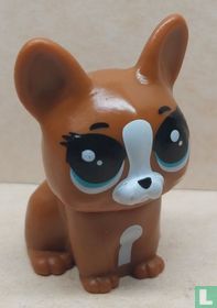 Chien