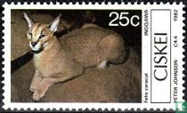 Small mammals