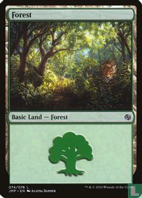 Forest