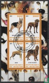 Chiens