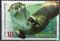 Otter