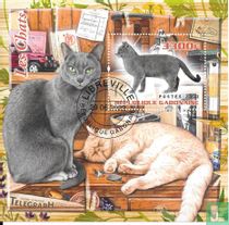 Cats