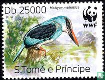 Halcyon malimbica