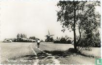 Wolvega "Molen bij de Linde"
