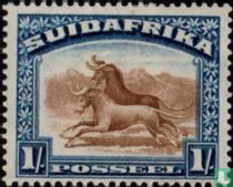 Wildebeest (African)