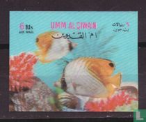 Poissons acheter