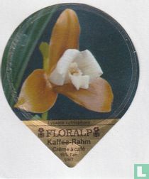 Lycaste xytriophora
