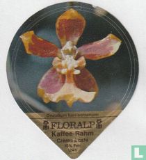 Oncidium harrisonianum