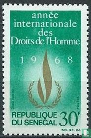 Année internationale des droits de l'homme