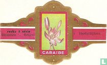 Blumen (Caraïbe) zigarrenbänder katalog