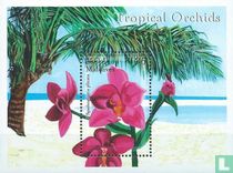 Orchideen