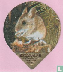 Waldmaus