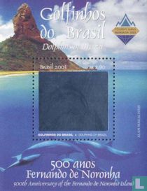 Spinner dolphin