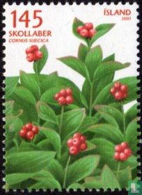 Wildbeeren