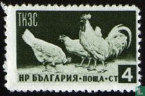 Farm animals
