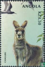 Macropus giganteus
