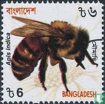 Oosterse honingbij