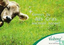 11501 - Viabono "Kannst Du das Gras wachsen hören?"