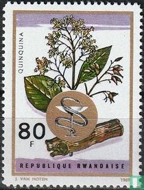 Plantes médicinales acheter