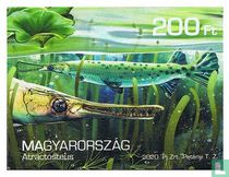 Animaux de la préhistoire