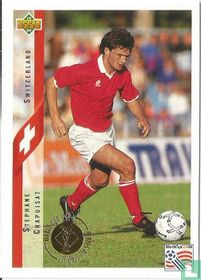 Stephane Chapuisat