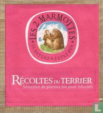 Récoltes du Terrier 