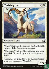 Thriving Ibex
