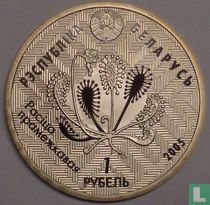 Belarus 1 ruble 2005 (PROOFLIKE) "Bogs of Almany"