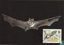 Bats