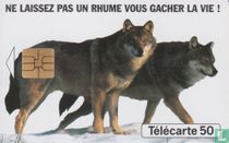 Humex Fournier