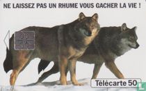 Humex Fournier