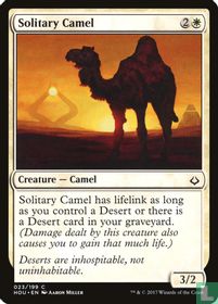 Solitary Camel