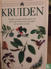 Kruiden