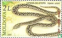 Reptiles