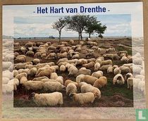 Het hart van Drenthe