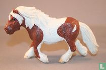 Shetland Mare