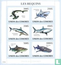 sharks