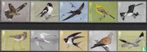 Trekvogels