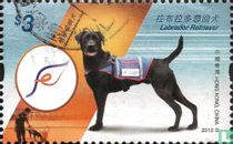 Working dogs in government service
