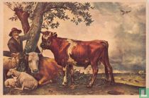 PAULUS POTTER De Jonge Stier