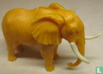 Elefant