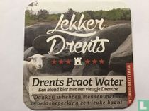 Drents Praot Water