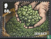 150 ans de brassage de bière