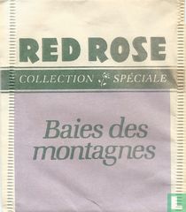 Red Rose tea bags catalogue