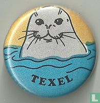 Texel