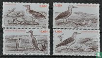 Seabirds