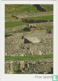 Aran Islands Ireland Postcard