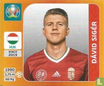 Dávid Sigér for sale
